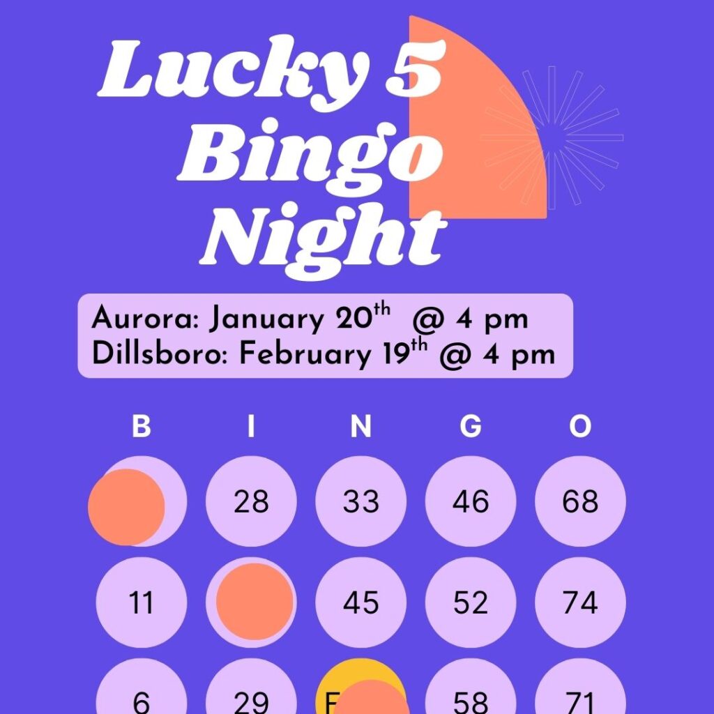 Lucky 5 Bingo Night February 19th @ 6 pm at the Dillsboro Library Ages 18+