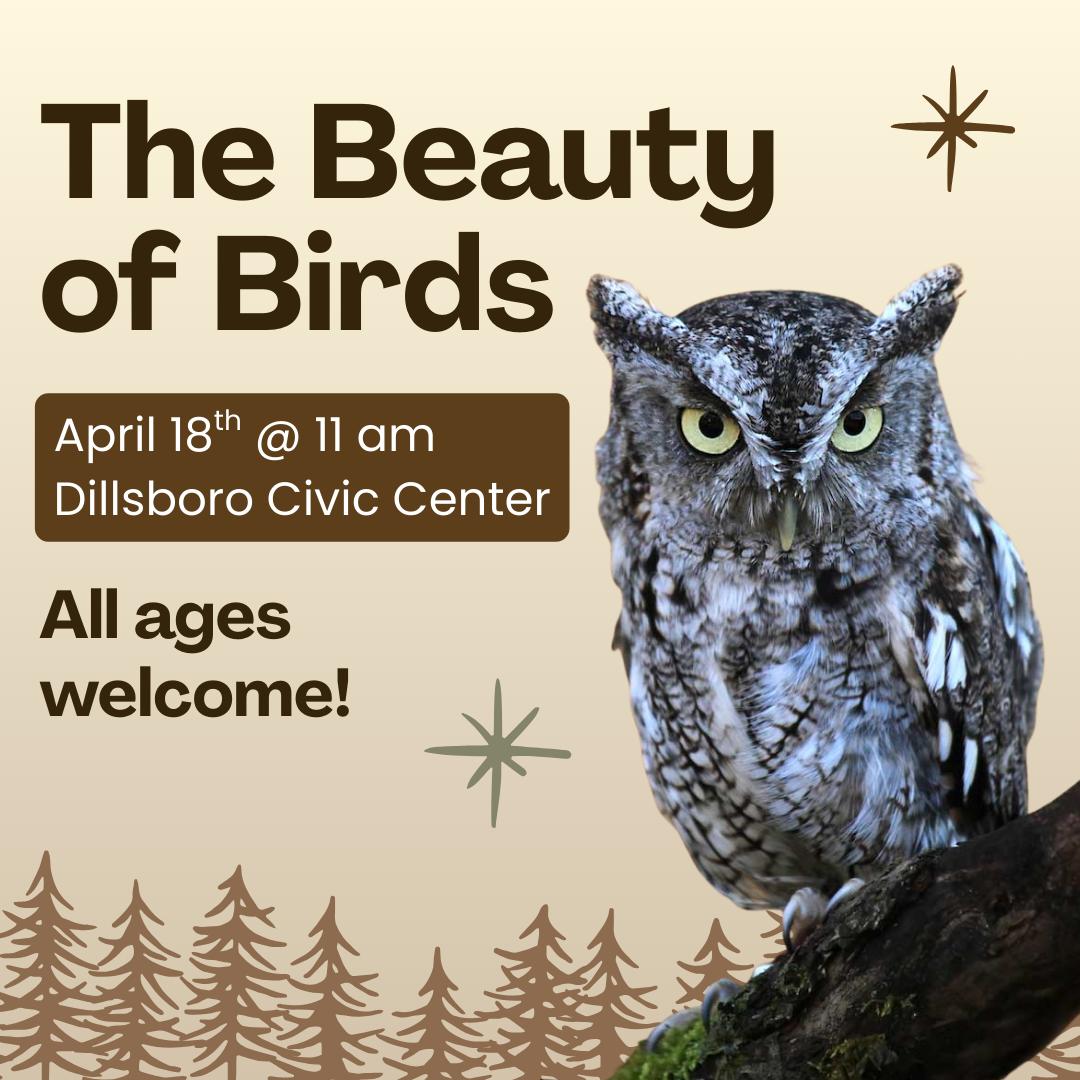 The Beauty of Birds April 18th @ 11 am at the Dillsboro Civic Center All Ages Welcome