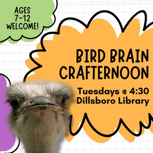 Bird Brain Crafternoon Tuesdays @ 4:30 at the Dillsboro Library Ages 7-12