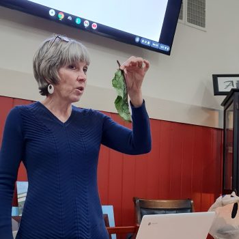 a woman holding up a leaf