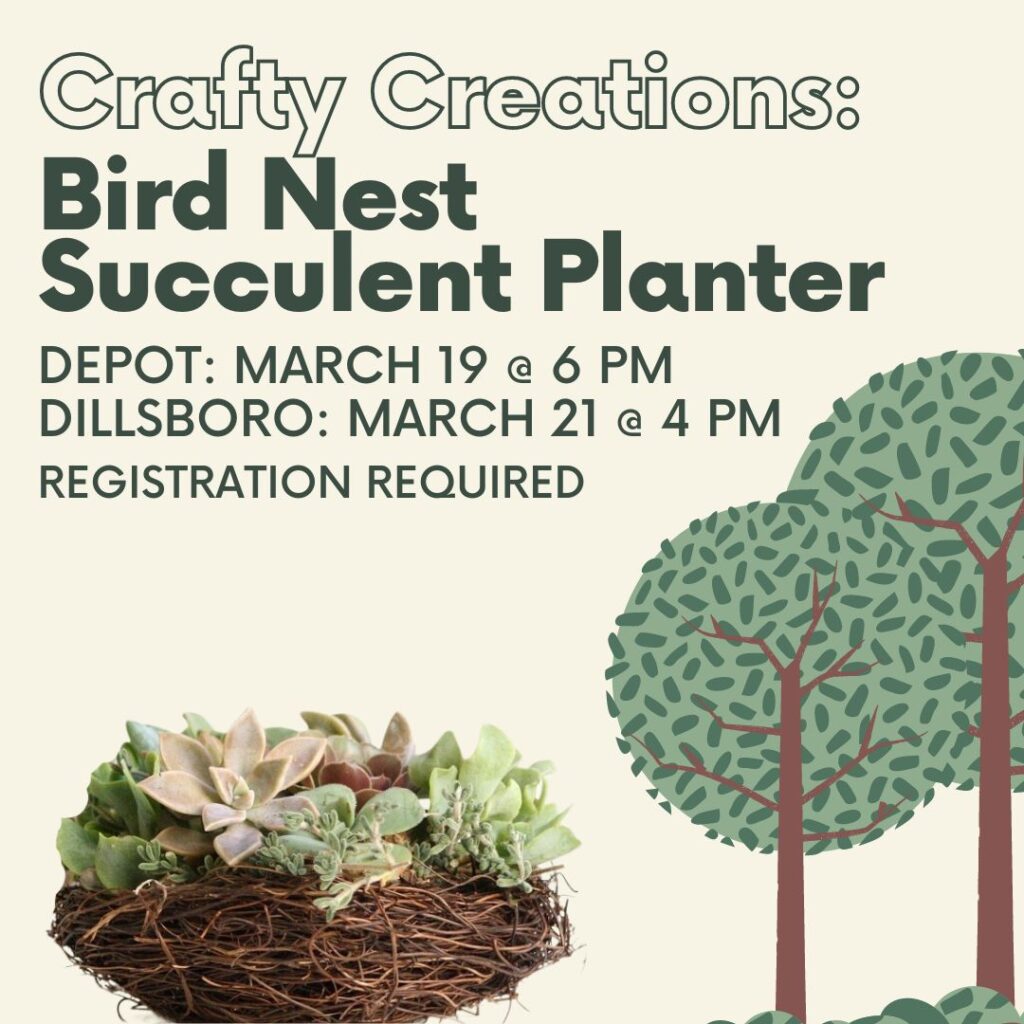 Bird Nest Succulent Craft in March 2024